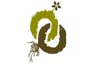 Omerica Organic promo codes