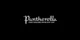 Pantherella promo codes