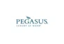 Pegasus promo codes