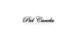 Piel Canela Dancers promo codes