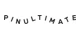 Pinultimate promo codes
