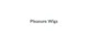 Pleasure Wigs promo codes