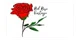 Red Rose Vintage promo codes