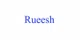 Rueesh promo codes