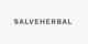 SalveHerbal promo codes