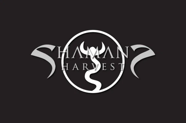 Broken Dreams Album Art