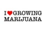 I Love Growing Marijuana promo codes