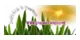 Jody's Soap and Things promo codes
