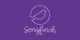 Songfinch promo codes
