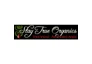 Stay True Organics Tattoo Aftercare promo codes