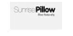 Sunrise Smart Pillow promo codes
