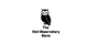 The Owl Observatory Store promo codes
