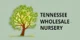 Tn Nursery promo codes