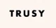 Trusy Social Inc. promo codes