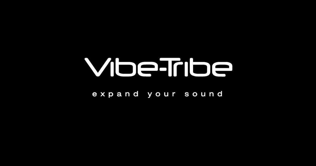 Vibe Tribe top 50 songs