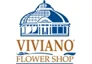Viviano promo codes