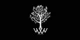 Willow Twin promo codes