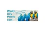 Windy City Parrot promo codes