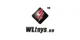 WLtoys promo codes