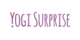 Yogi Surprise promo codes