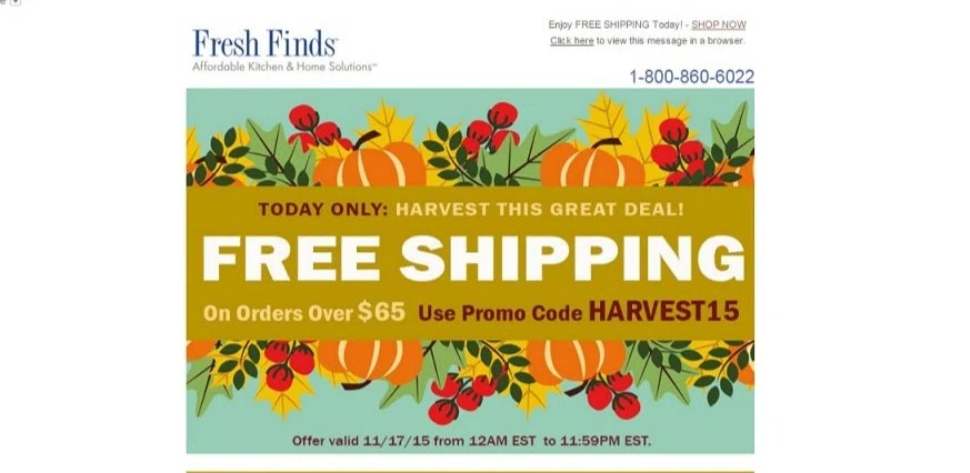 Www freshfinds com coupons